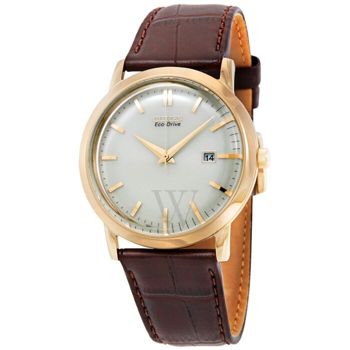 Men's Eco-Drive Brown Leather Champagne Dial