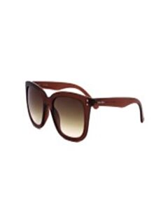 Calvin Klein 53 mm Transparent Brown Sunglasses