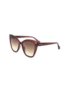 Calvin Klein 55 mm Transparent Brown Sunglasses