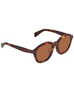 Celine 53 mm Havana Sunglasses