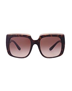 Dolce and Gabbana 54 mm Havana on Transparent Brown Sunglasses