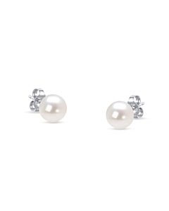 Haus of Brilliance 14K White Gold Round Freshwater Akoya Cultured 6-6.5MM Pearl Stud Earrings AAA+ Quality