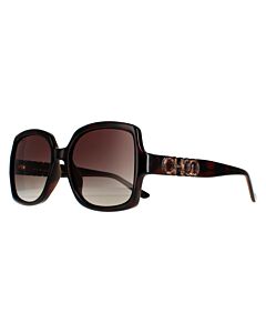 Jimmy Choo 55 mm Havana Sunglasses