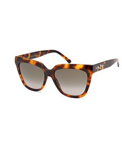Jimmy Choo 55 mm Tortoise Sunglasses