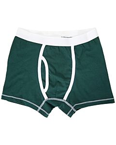 Leiur Men's Basic Green Boxer Briefs