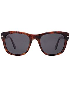 Persol 52 mm Caffe Sunglasses