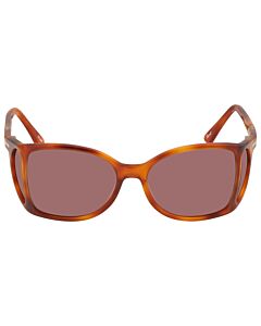 Persol 54 mm Havana Sunglasses
