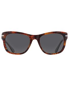 Persol 55 mm Caffe Sunglasses