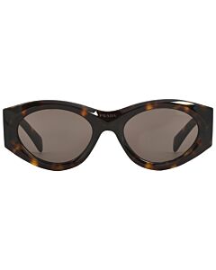 Prada 53 mm Tortoise Sunglasses