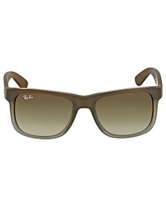 Ray Ban 51 mm Brown Sunglasses