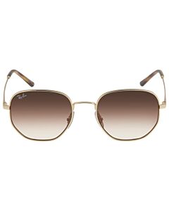 Ray Ban 51 mm Polished Gold Sunglasses