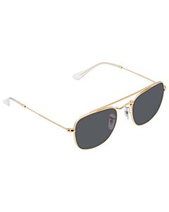 Ray Ban 51 mm Shiny Gold Sunglasses