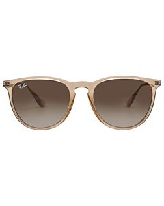 Ray Ban Erica Color Mix 54 mm Transparent Light Brown Sunglasses