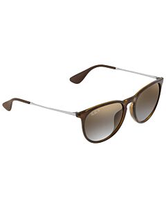 Ray Ban Erika 54 mm Sunglasses