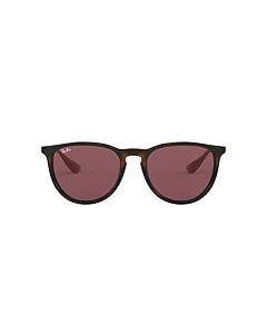 Ray Ban Erika 54 mm Tortoise Bronze Sunglasses