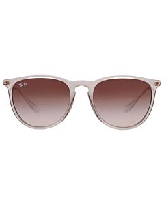 Ray Ban Erika Classic 54 mm Polished Tranparent Light Brown Sunglasses