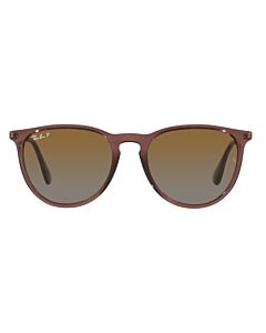 Ray Ban Erika Classic 54 mm Polished Transparent Dark Brown Sunglasses
