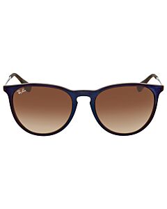 Ray Ban Erika Classic 54 mm Tortoise Sunglasses