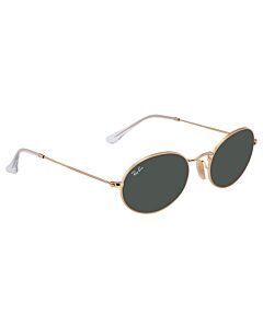 Ray Ban Oval 54 mm Gold Sunglasses