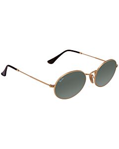 Ray Ban Oval Flat Lenses 54 mm Gold Sunglasses
