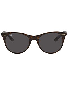 Ray Ban Wayfarer II Classics 55 mm Tortoise Sunglasses