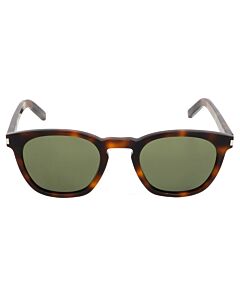 Saint Laurent 49 mm Havana Sunglasses