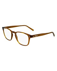 Salvatore Ferragamo 51 mm Transparent Brown Eyeglass Frames