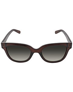 Salvatore Ferragamo 52 mm Brown Sunglasses