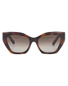 Salvatore Ferragamo 54 mm Classic Tortoise Sunglasses