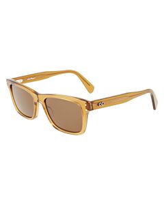 Salvatore Ferragamo 54 mm Transparent Caramel Brown Sunglasses