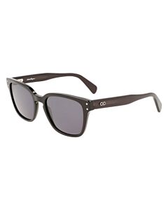 Salvatore Ferragamo 55 mm Black Sunglasses