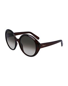 Salvatore Ferragamo 57 mm Crystal Brown Sunglasses