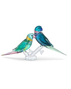 Swarovski Crystal Jungle Beats Parakeet Couple Fife & Fifer Figurine