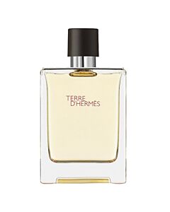 Terre Dhermes / Hermes EDT Spray 3.3 oz (100 ml) (M)