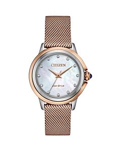 Women's Ceci Stainless Steel Mesh Mother of Pearl Dial Watch