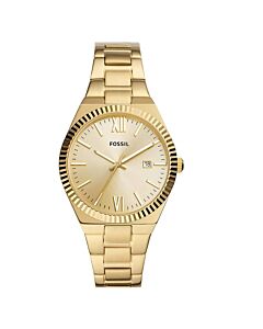 Women's Scarlette Stainless Steel Gold Dial Watch